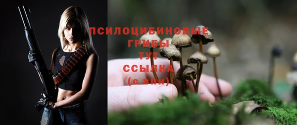 PSILOCYBIN Балахна